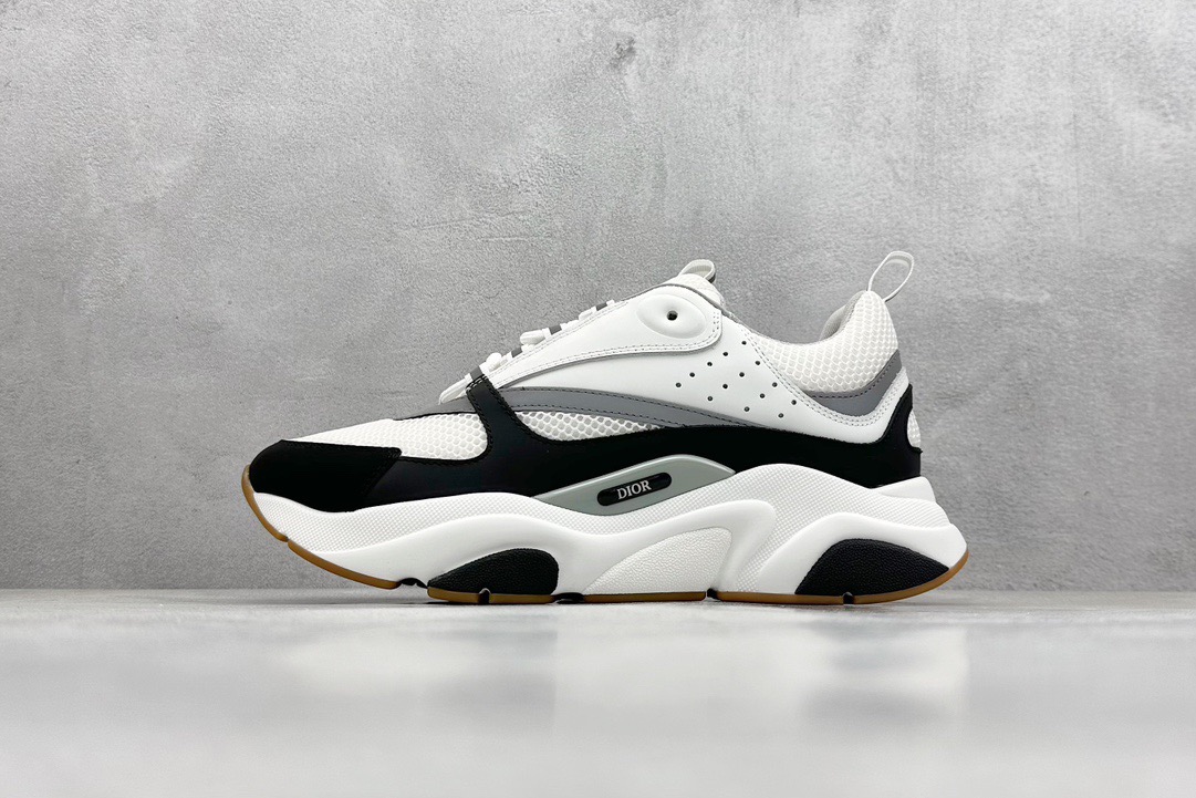 Dior B22 Violet White-Black