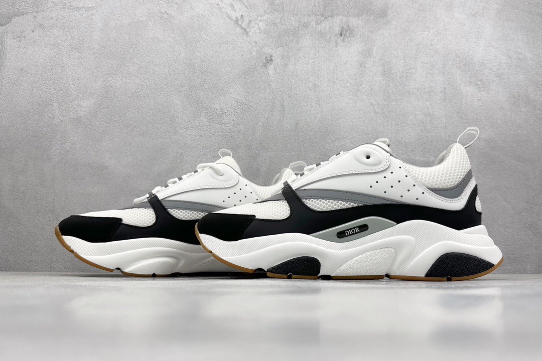 Dior B22 Violet White-Black