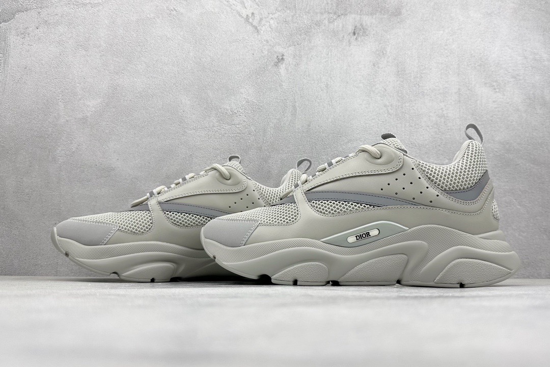 Dior B22 Violet Grey 3SN231YKA804