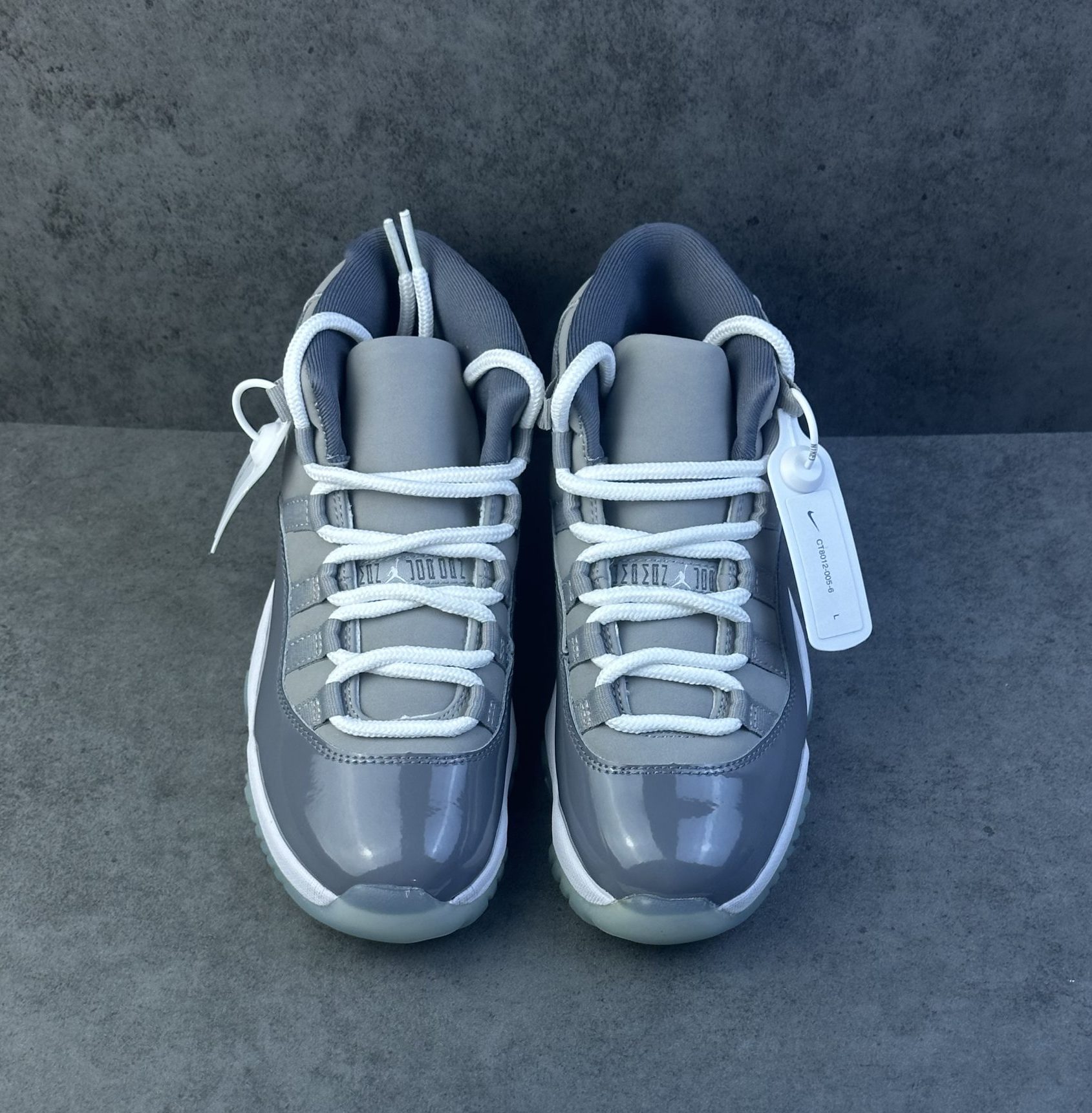 Jordan 11 Retro Cool Grey (2021)
