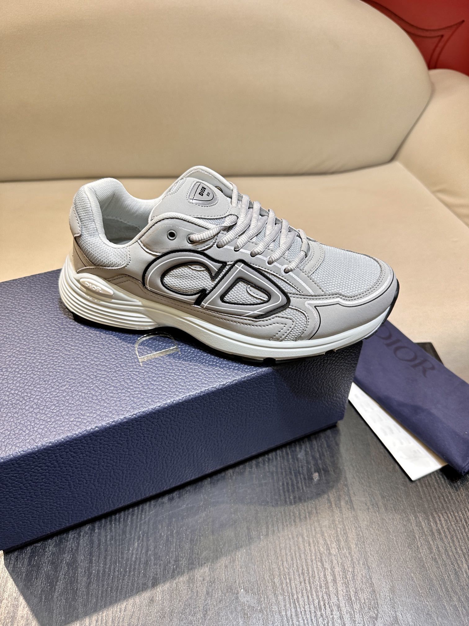 Dior B30 Gray