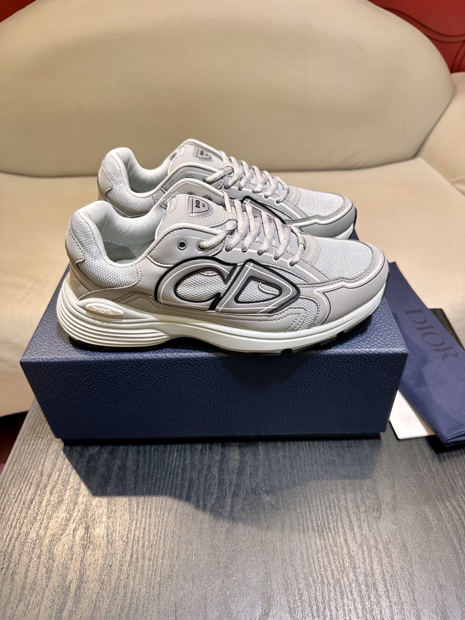 Dior B30 Gray