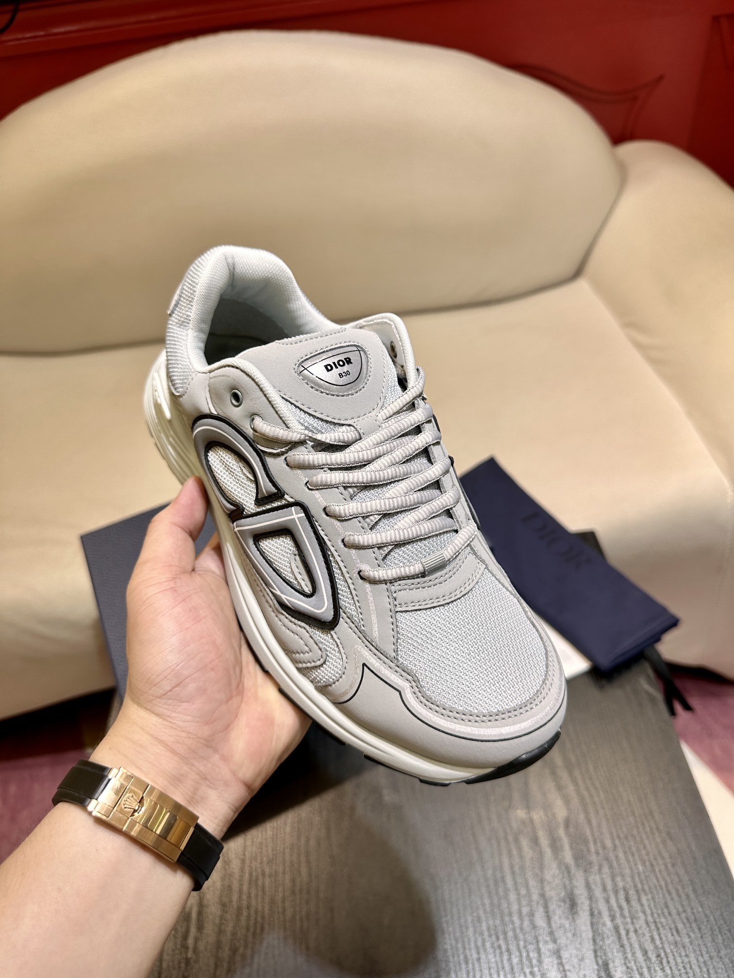 Dior B30 Gray